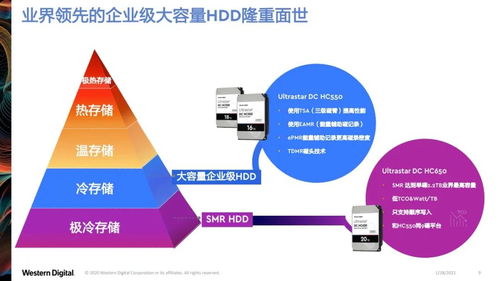 西部數(shù)據(jù) 數(shù)據(jù)驅(qū)動萬物時代的存儲分層之道與數(shù)據(jù)處理存儲支持服務